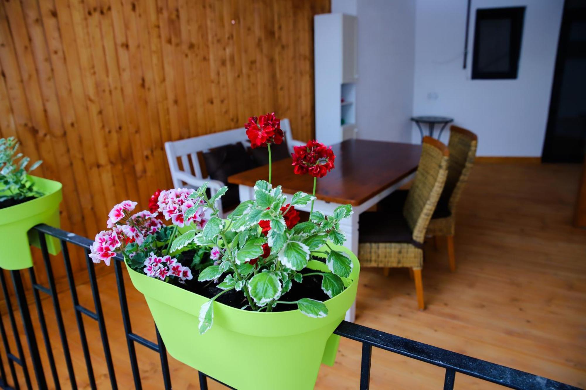 Floasiu Residence Guesthouse Sibiu Exterior photo